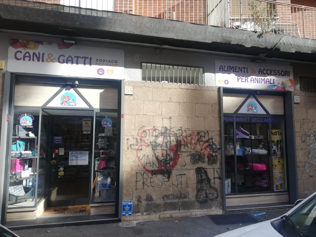 Cani & Gatti - Foto 2