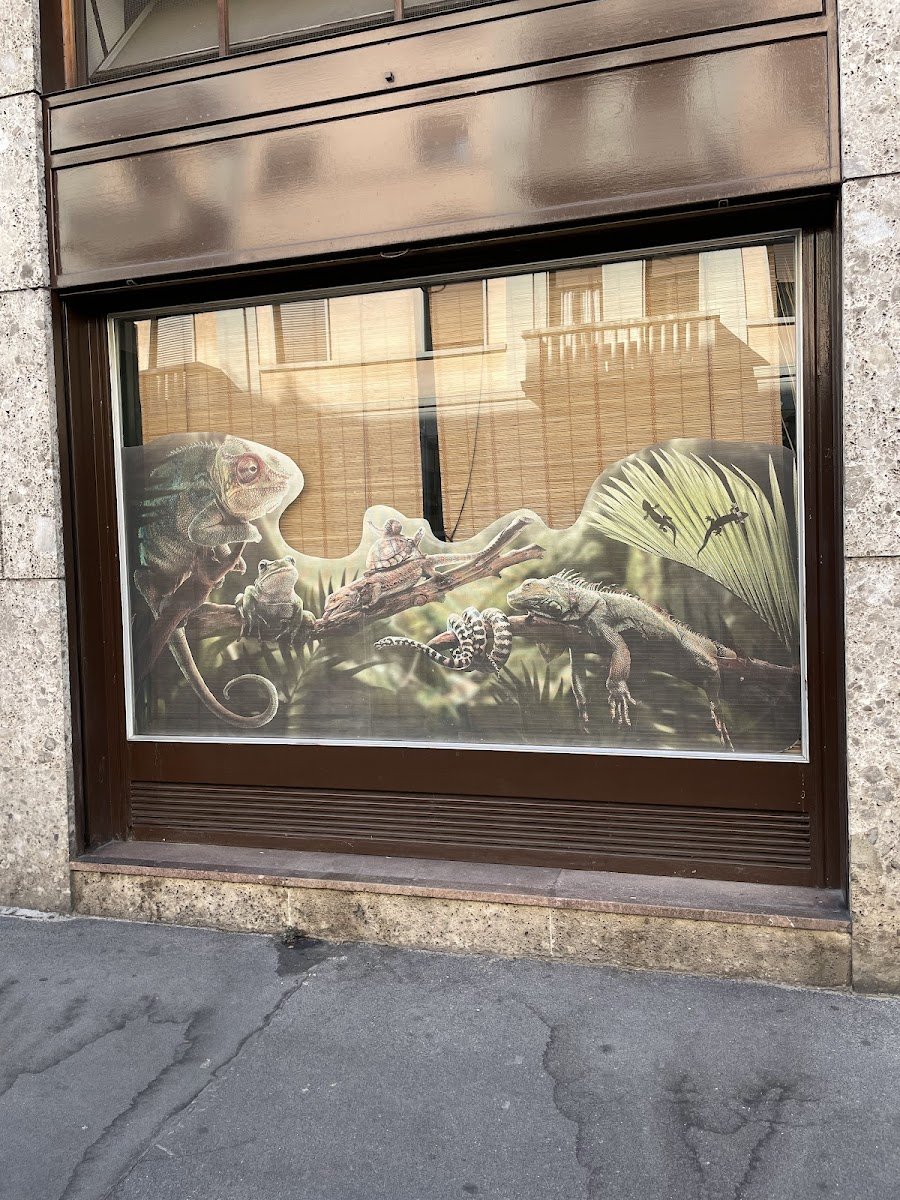 Rettil Jungle - Foto 2