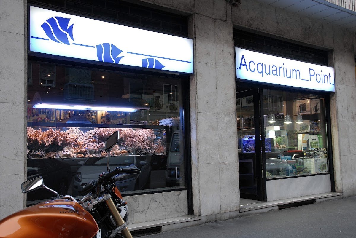 Acquarium Point - Foto 2