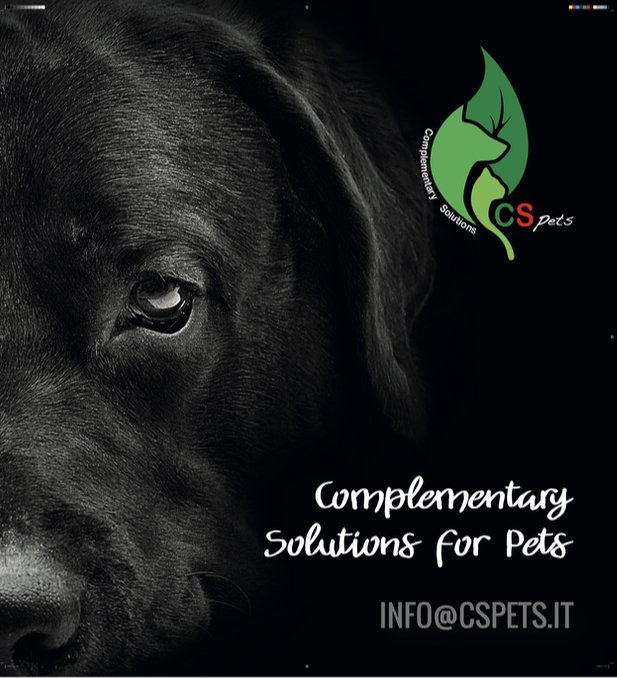 Cs Pets - Foto 2