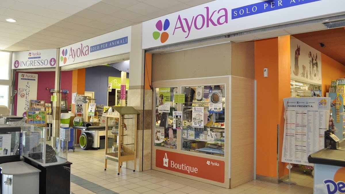 Ayoka - Foto 2