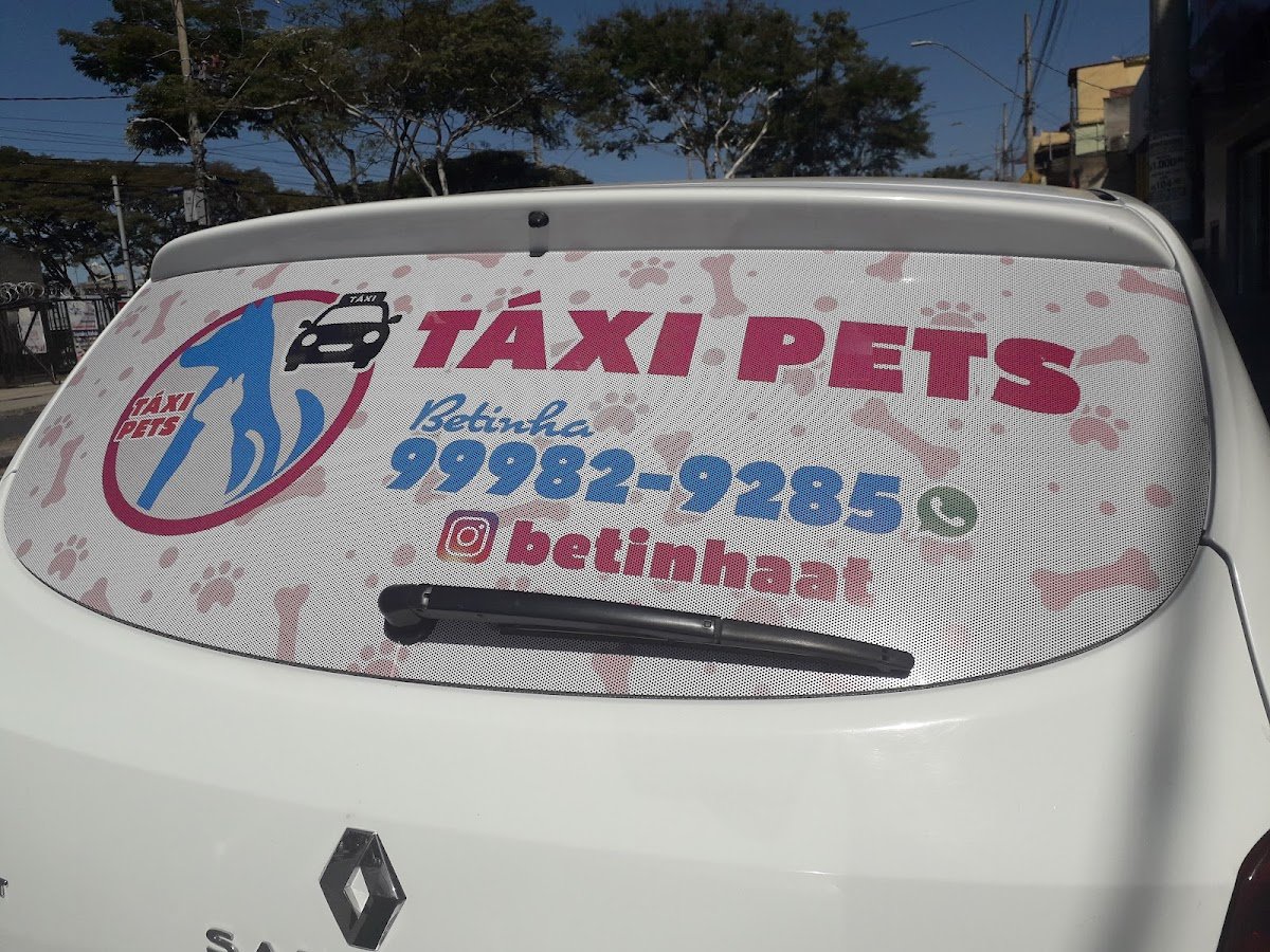 Taxi Dog / Transporte de Animais / Hotelzinho