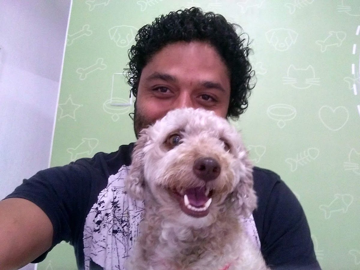 Support Diagnóstico Veterinário