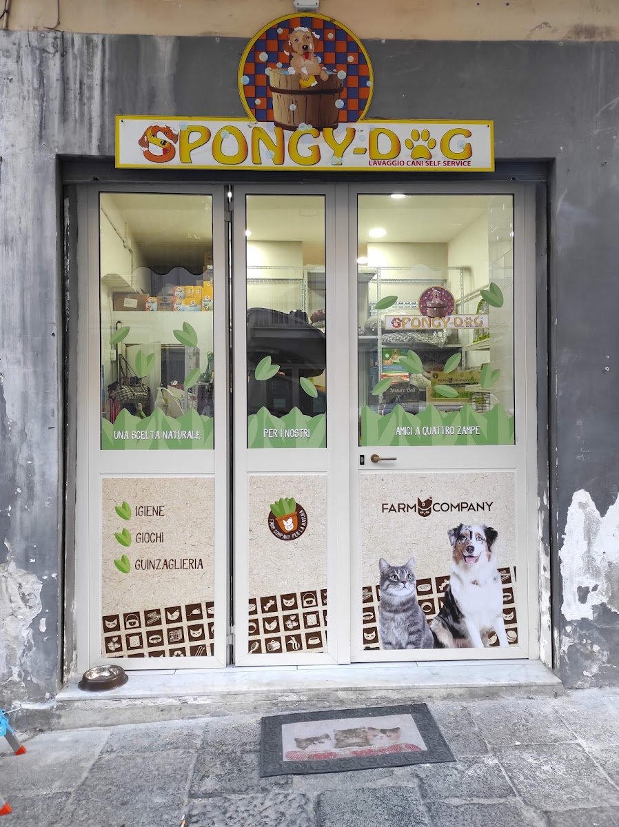 Spongy-dog - Foto 2