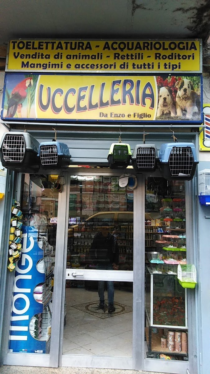 al piccolo zoo uccelleria e toelettatura - Foto 2