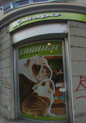 Kakapo Torino - Foto 2