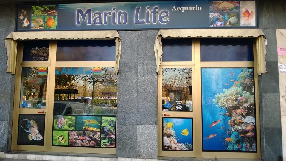 Marin Life Acquario - Foto 2