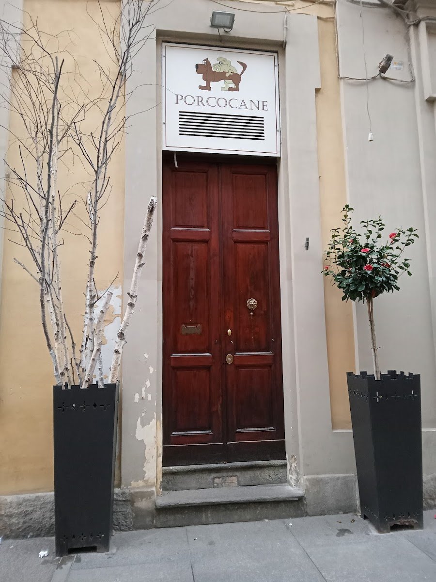 Porcocane - Foto 2