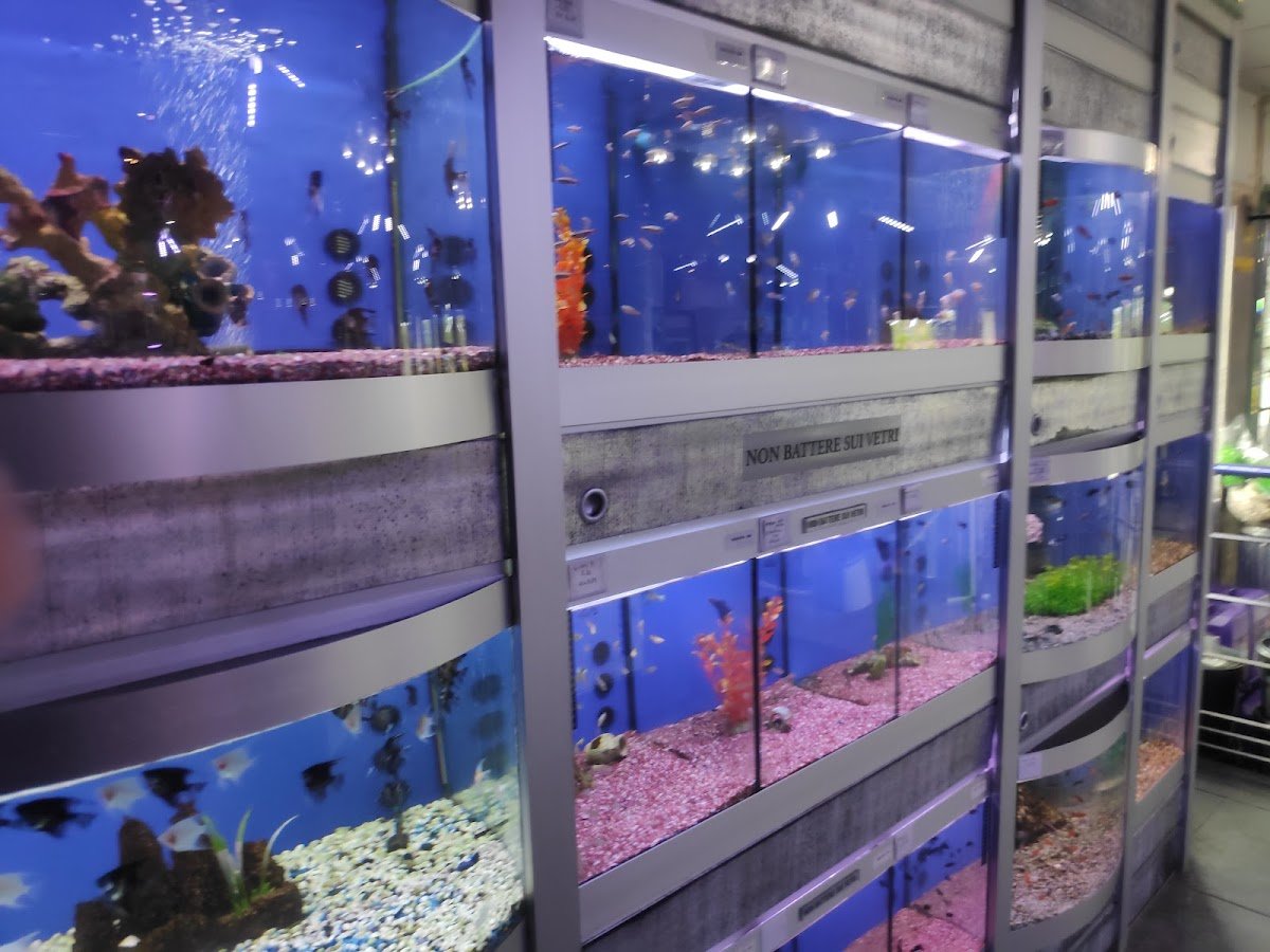 Aquarialand Emporium - Foto 2