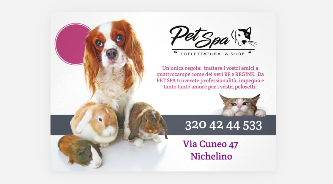 Pet Spa - Foto 2