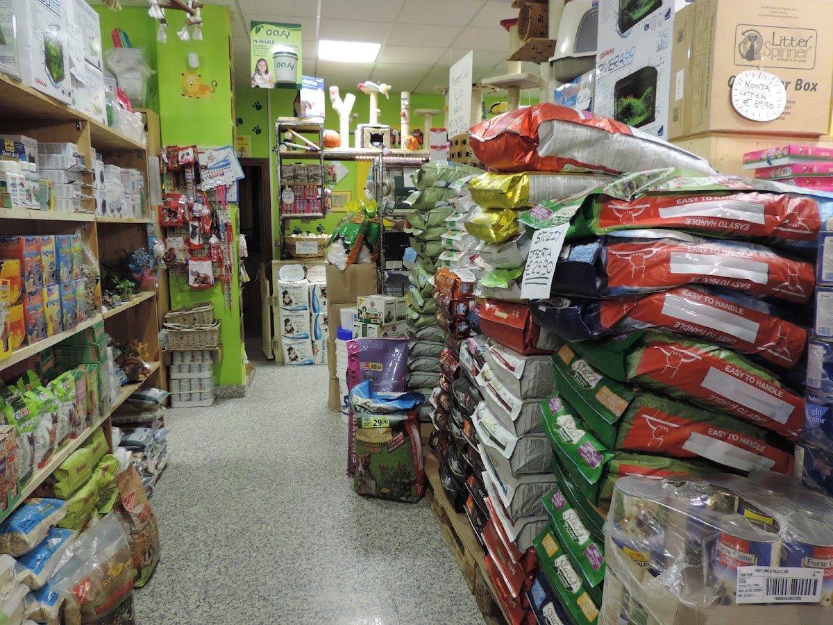 Animalia - Foto 2