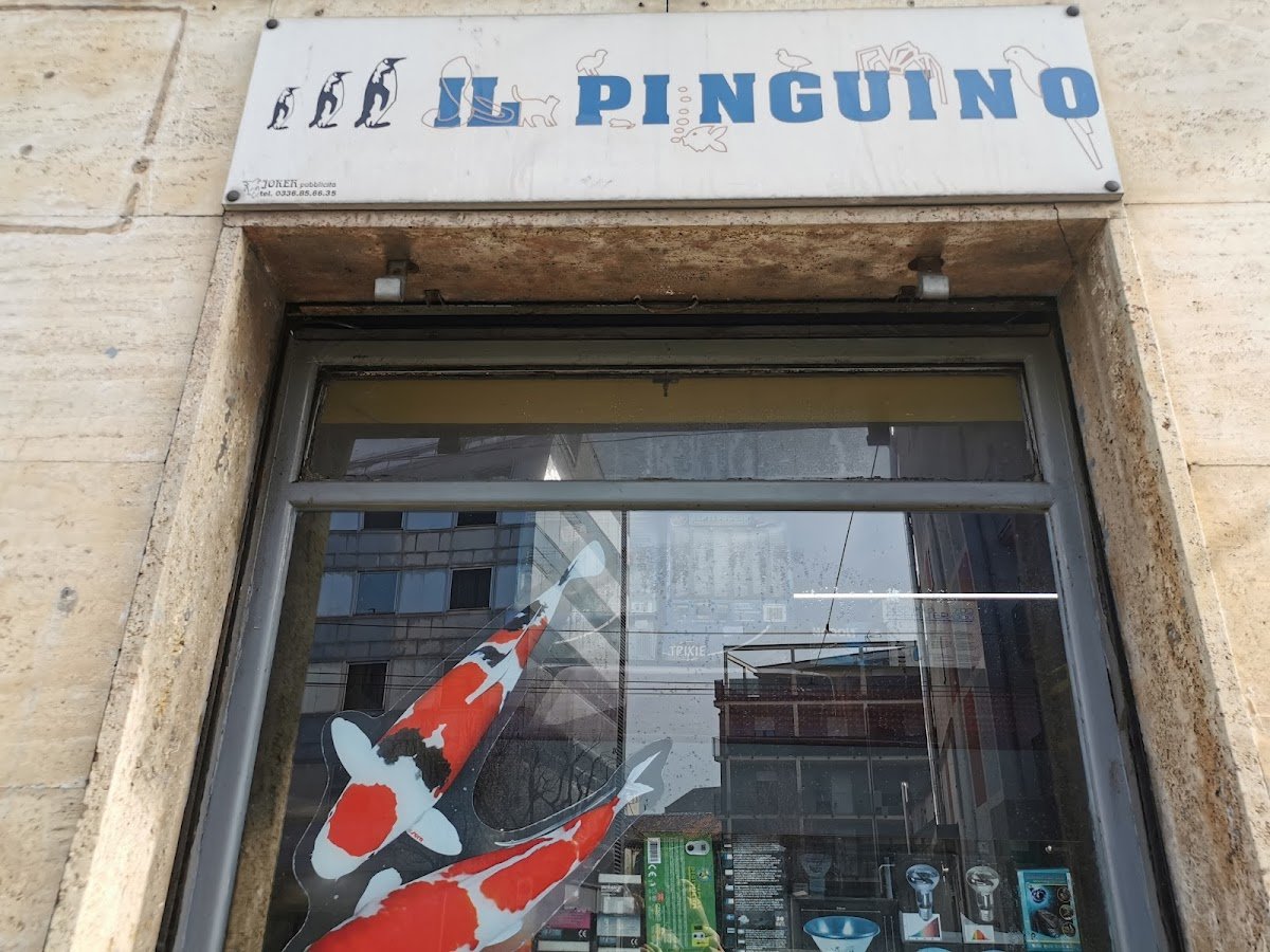 Il Pinguino - Foto 3