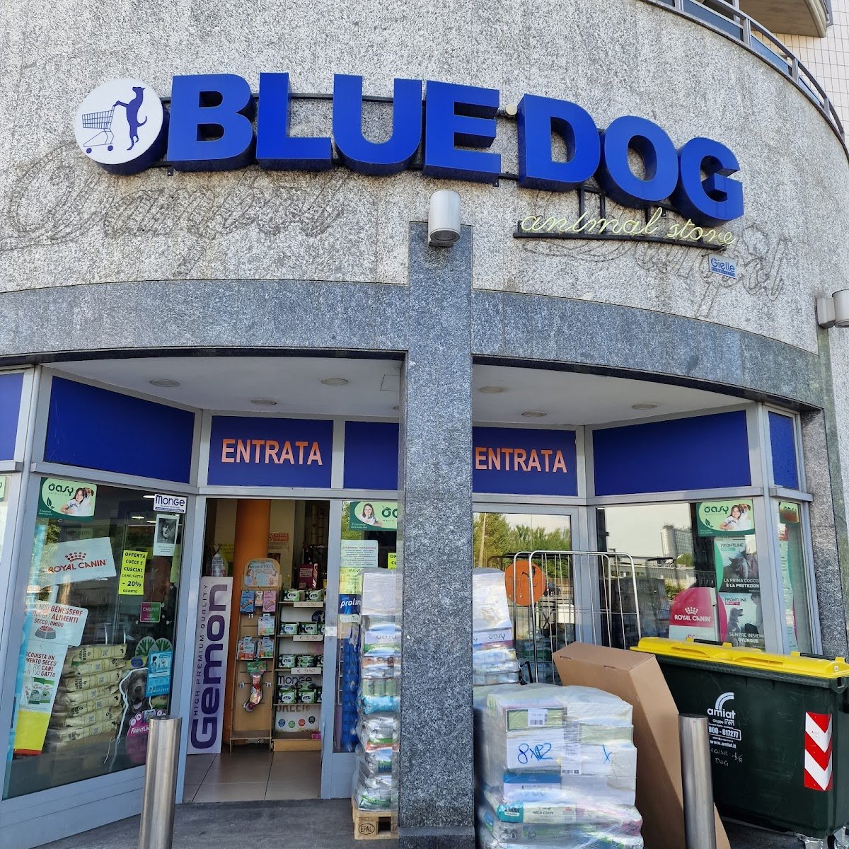 BLUE DOG - Foto 2