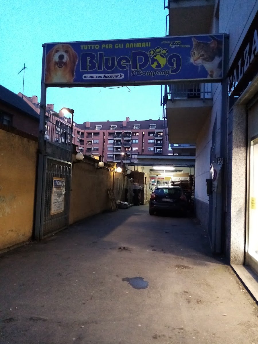 Blue Dog - Foto 2