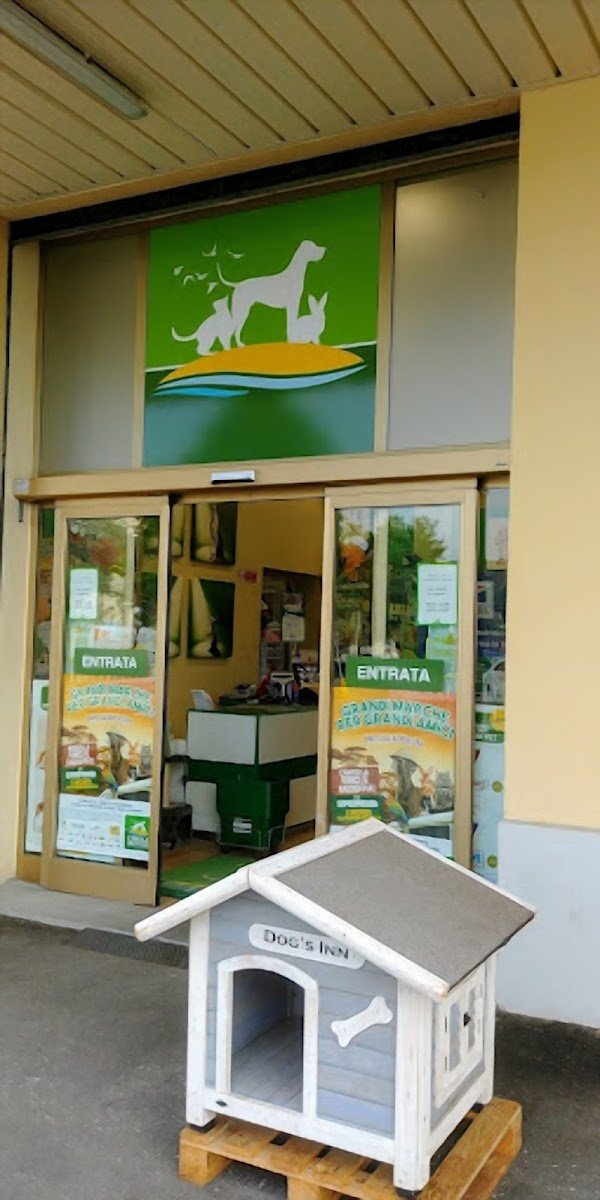 L'Isola dei Tesori - Foto 2