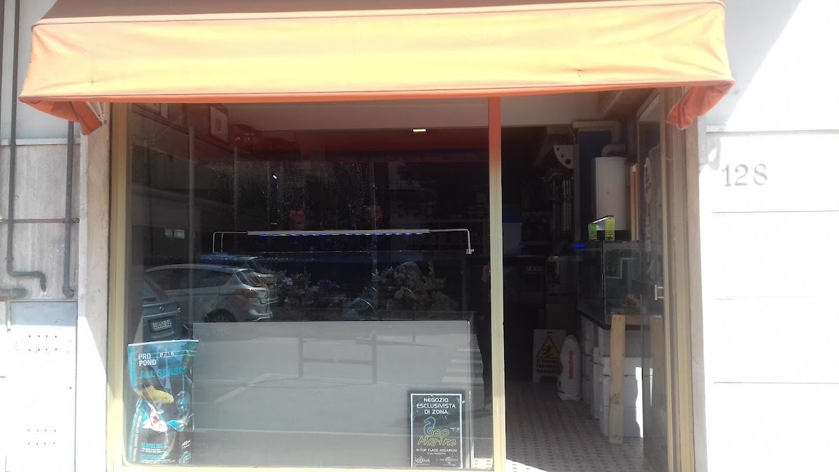 Geo Marine - Foto 2