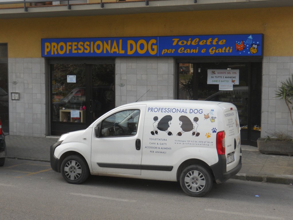 Professionaldog - Foto 2