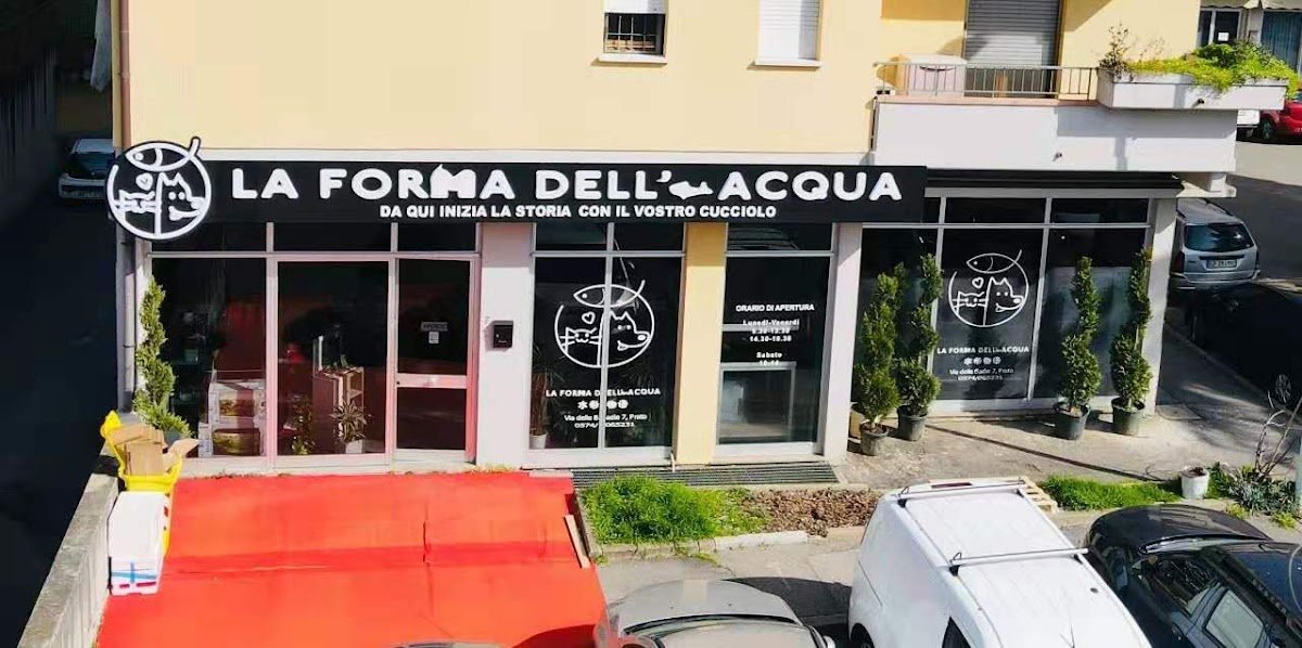 LA FORMA DELL'ACQUA - Foto 2