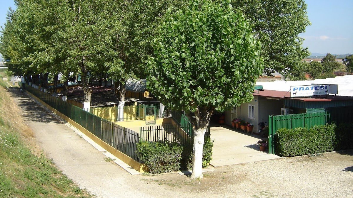 Allevamento del Pratesi - Foto 2