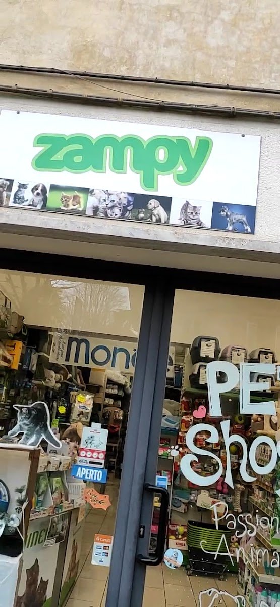 ZAMPY CERTALDO - Foto 2