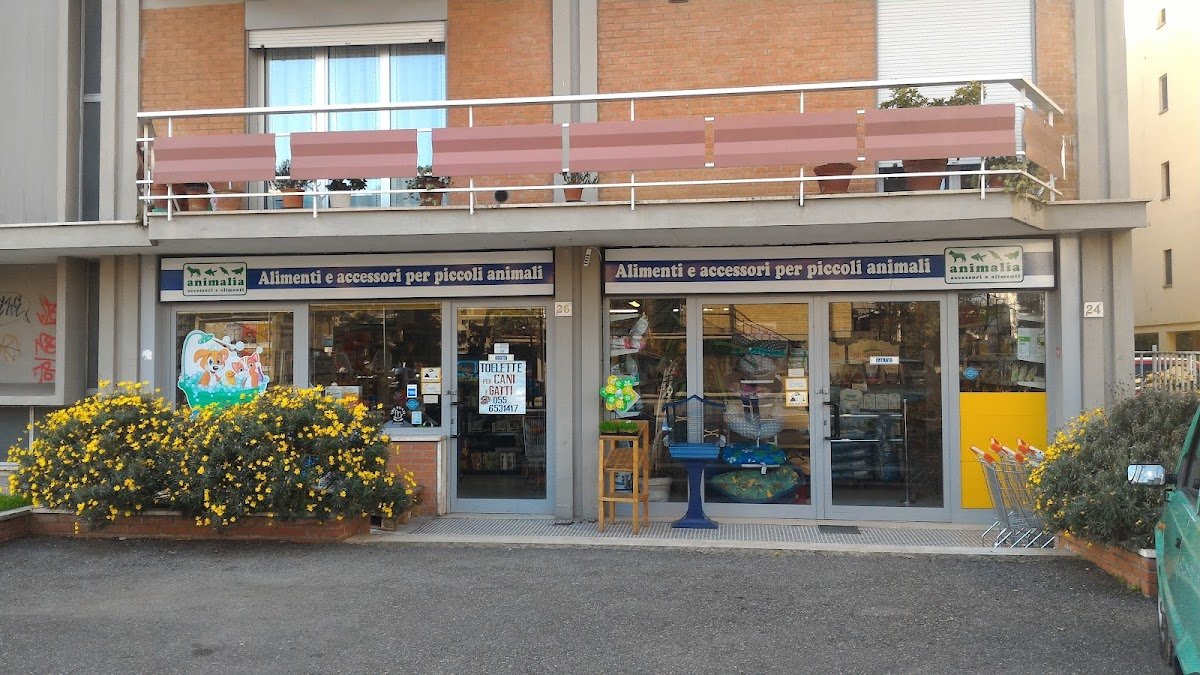 Animalia - Foto 2