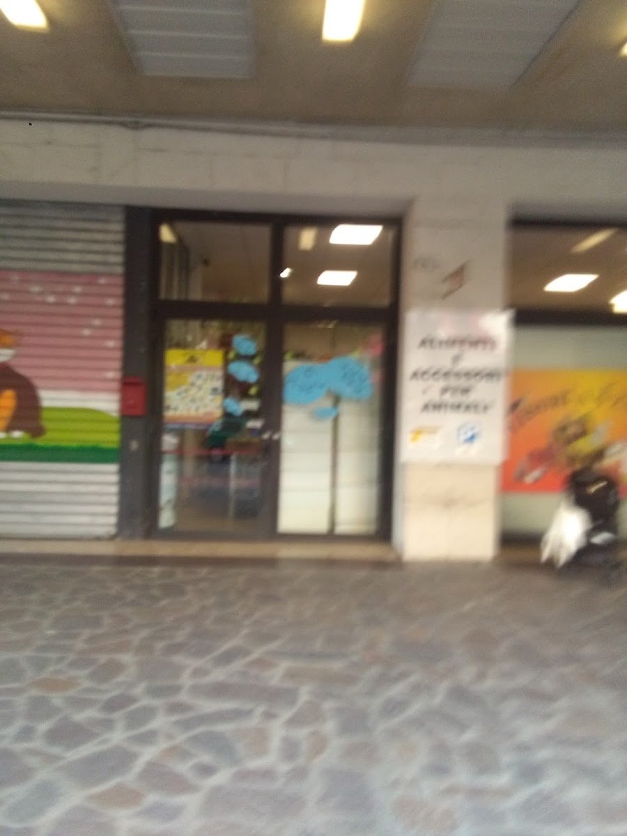 Tutto Per Animali - Foto 2