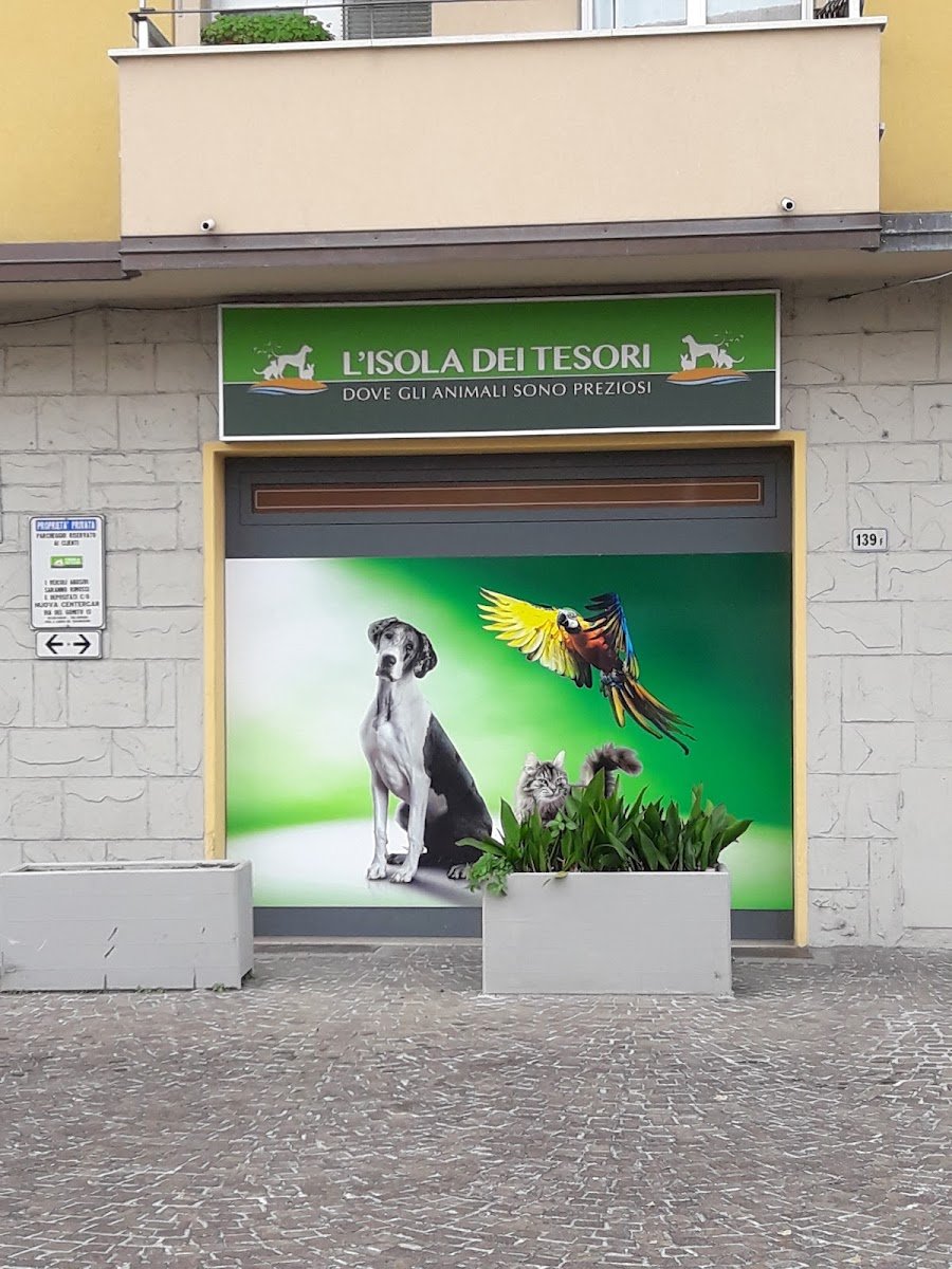 L'Isola dei Tesori - Foto 2