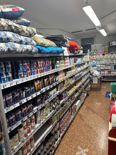 Gli Amici di Pippo - Foto 2