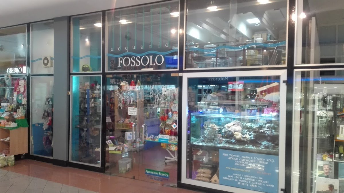 Acquario Fossolo - Foto 2