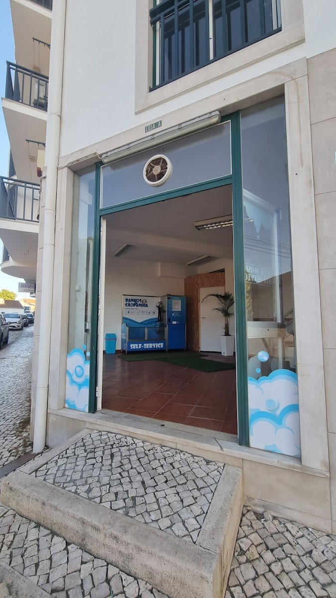 Banhos & Cãopanhia - Foto 2