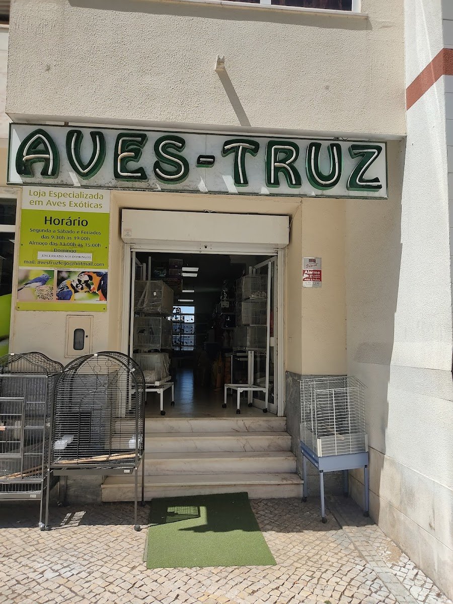 Aves-Truz - Foto 2