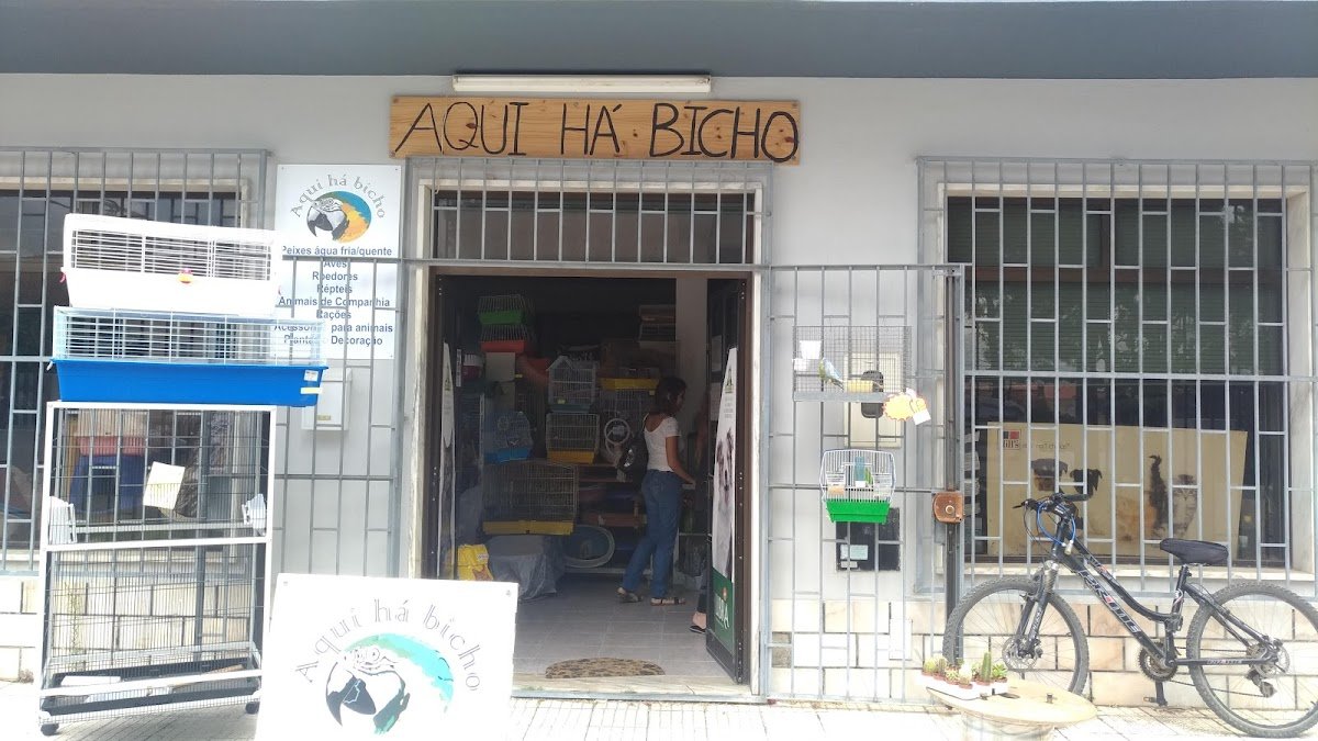 Aqui Há Bicho - Foto 2