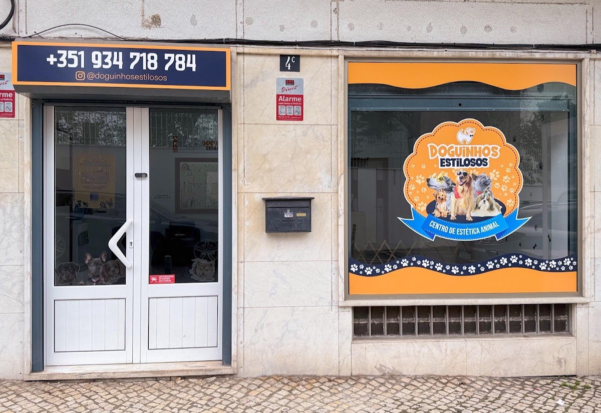 Doguinhos Estilosos - Banho e Tosquia - Foto 2