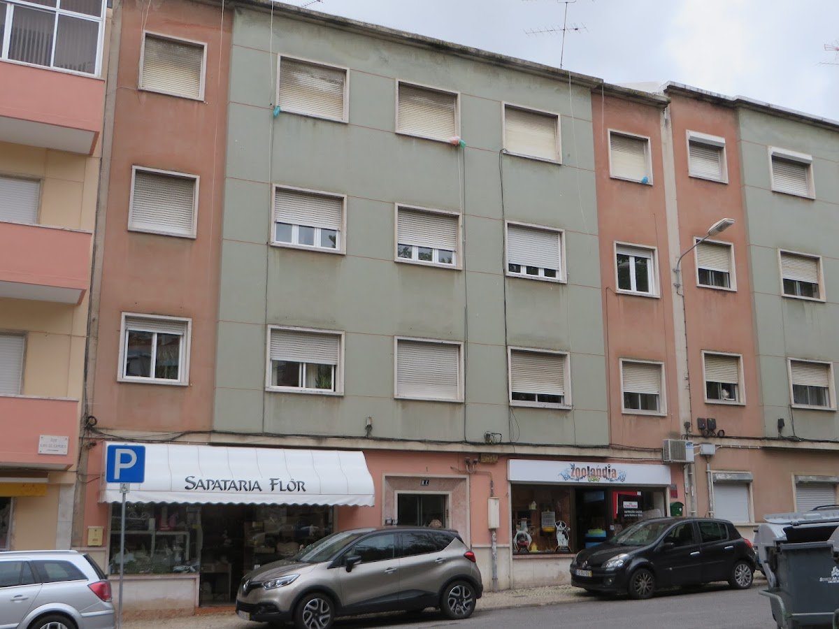 Zoolandia - Foto 2