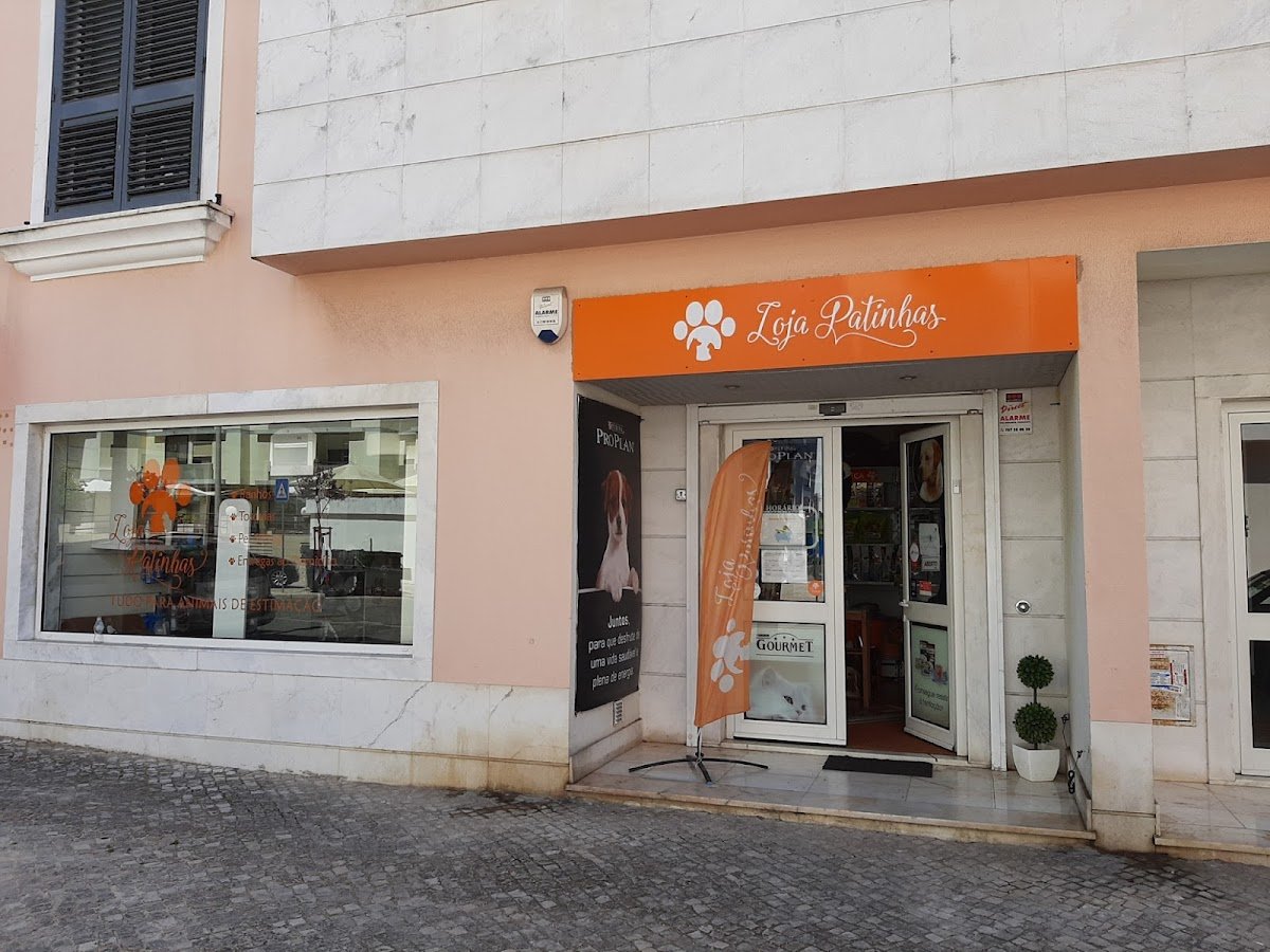 Loja Patinhas - Foto 2