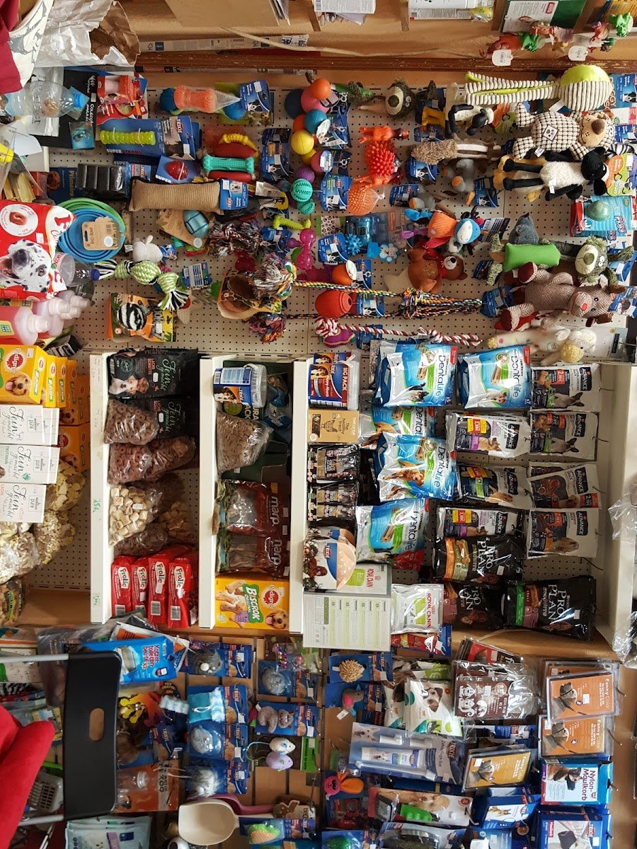 Avigomes, Loja de Animais - Foto 2