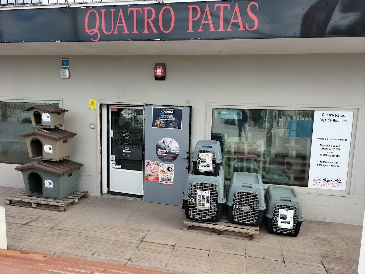 Quatro Patas - Foto 2