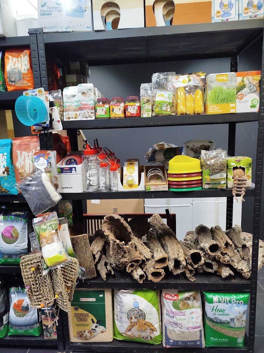 Jaspet Store - Foto 2