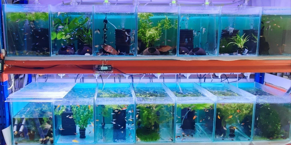 Aquasousa - Foto 2