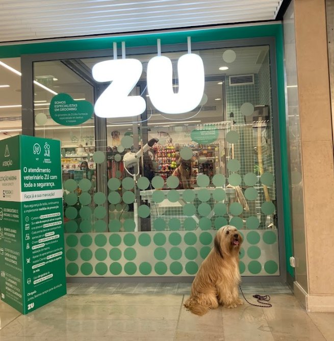 ZU Fonte Nova - Foto 2