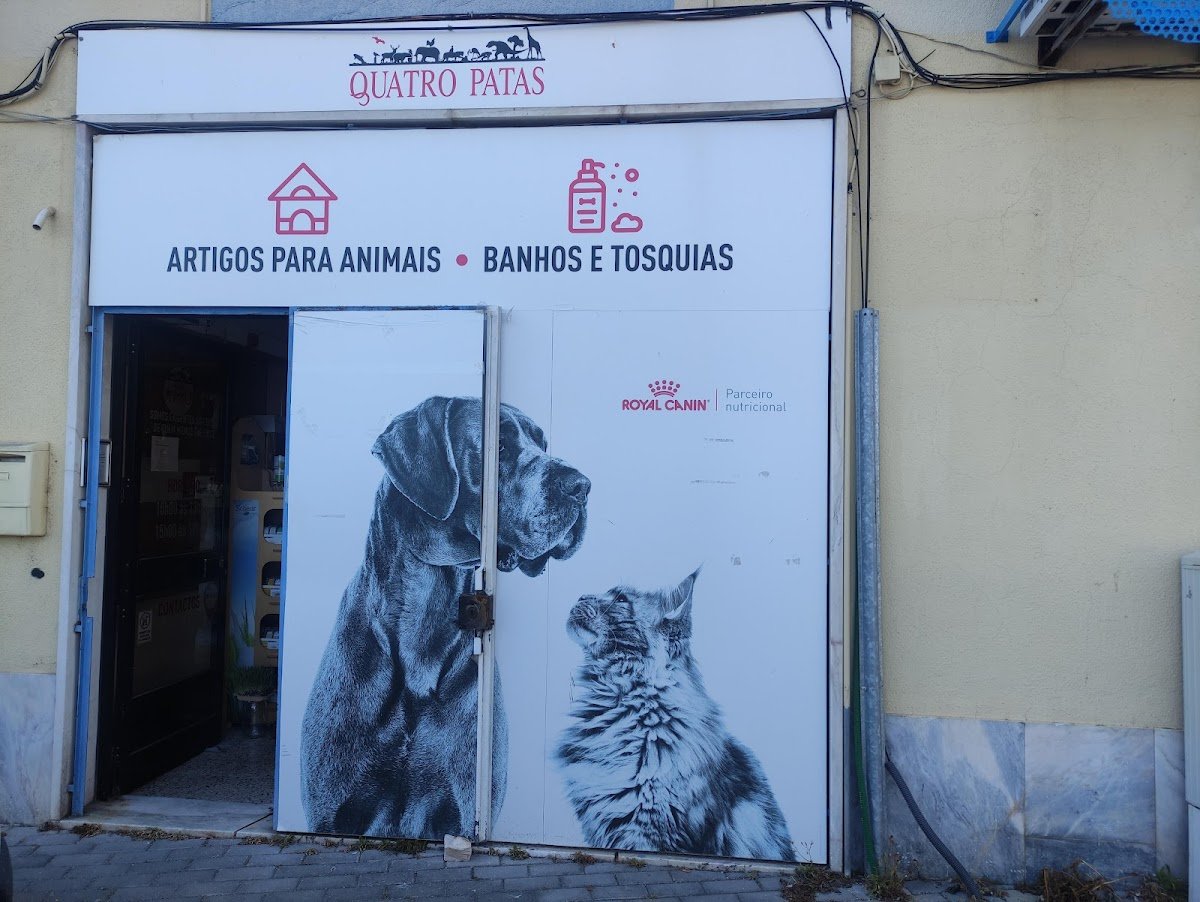 Quatro Patas - Foto 2