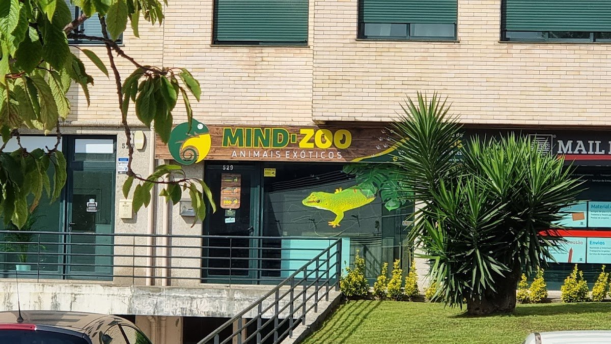 Mind-Zoo - Foto 2