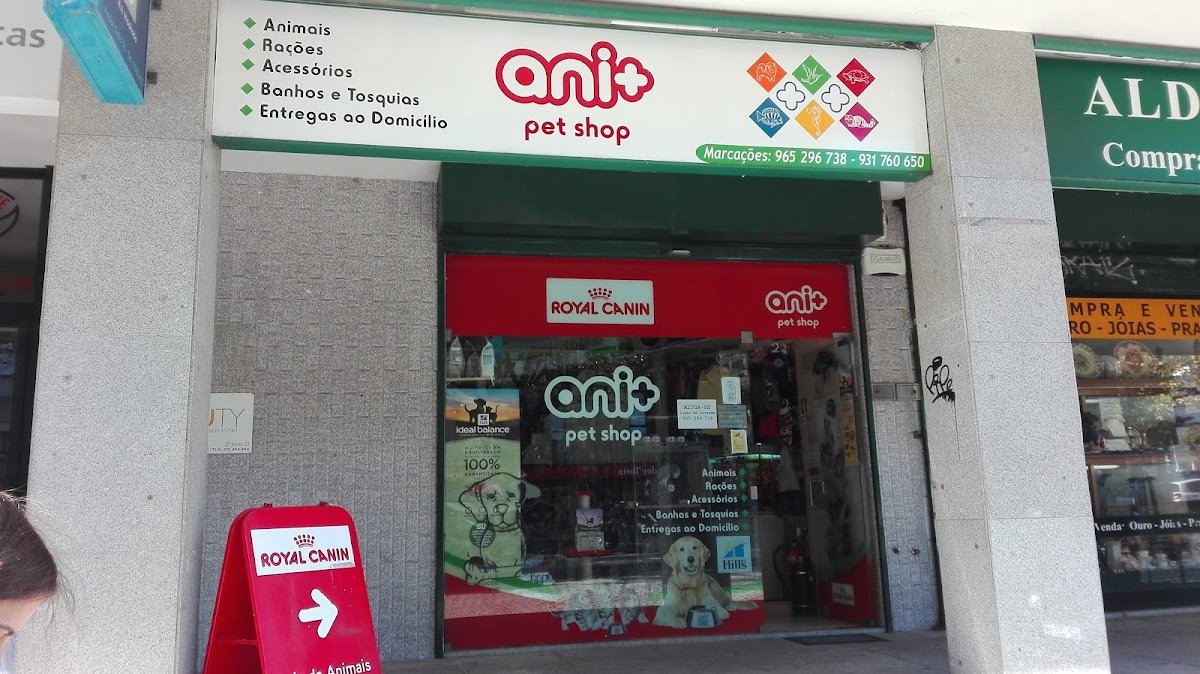 Ani+ - Foto 2