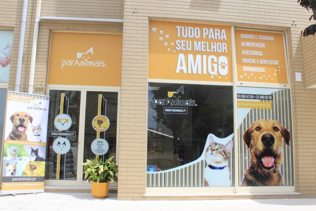 parAnimais - Foto 2
