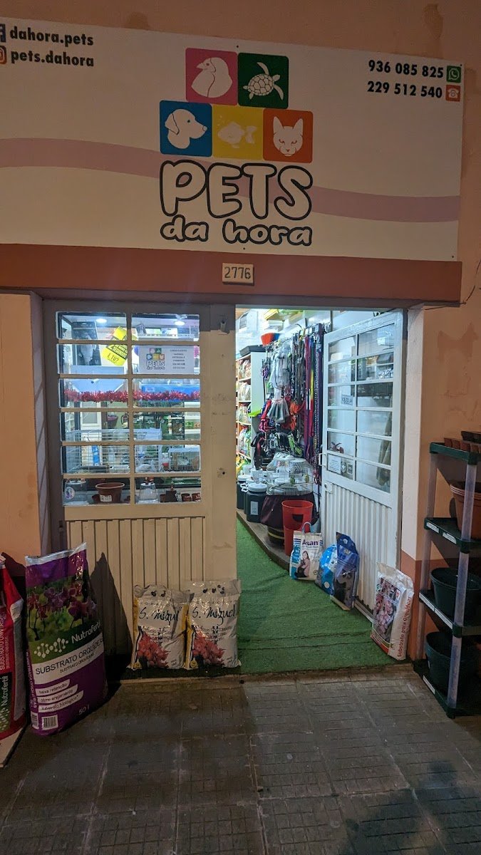 Pets da Hora - Foto 2