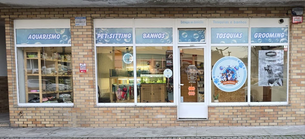 Pata Brilhante - Foto 2