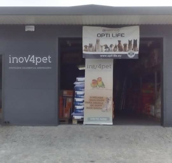 Conceito Animal - Foto 2
