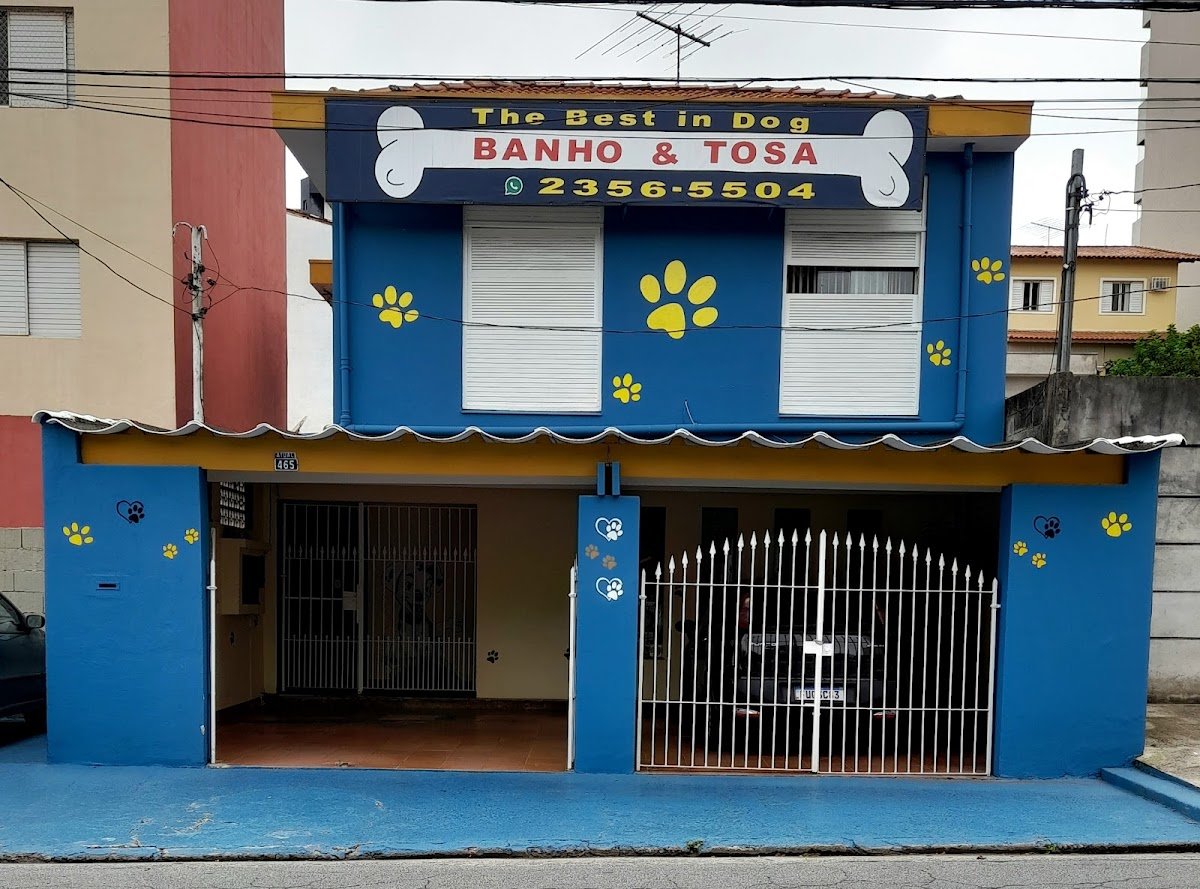 The Best In Dog Pet Shop - Pet Shop em São Bernardo do Campo