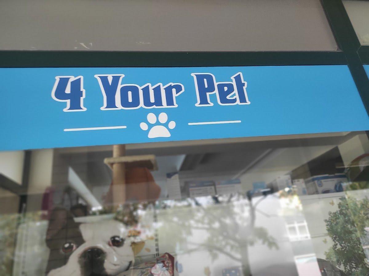 4 Your Pet - Foto 2