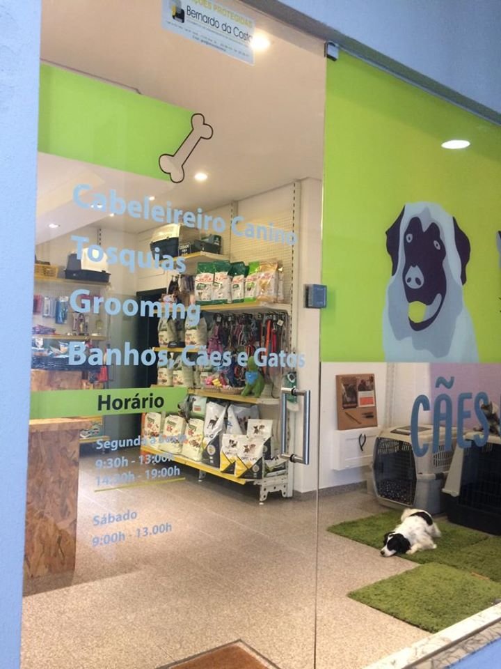 Cães e Nós - Foto 2